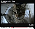 Chats de Rle : Cats