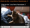 Chats de rle : Loup Garou l Apocalypse, 2