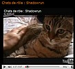 Chats de rle : Shadowrun