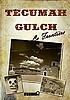Du nouveau dans ma besace : Tecumah Gulch